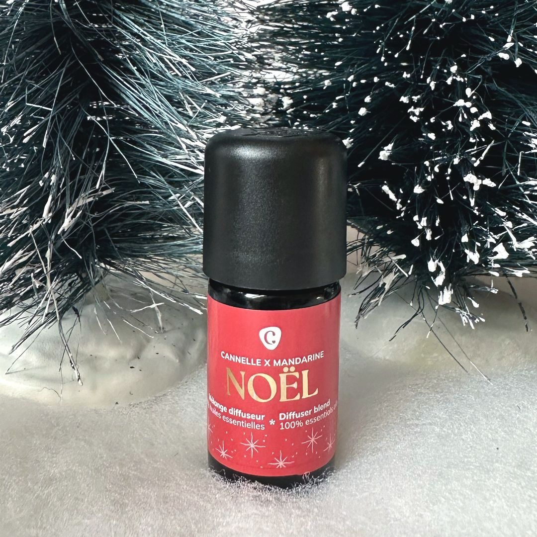 Mélange pour diffuseur NOEL